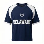 تیشرت تیکه‌خور DELAWARE